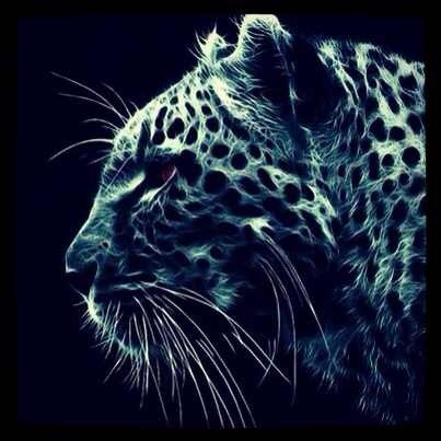 Октай Рзаев | Москва