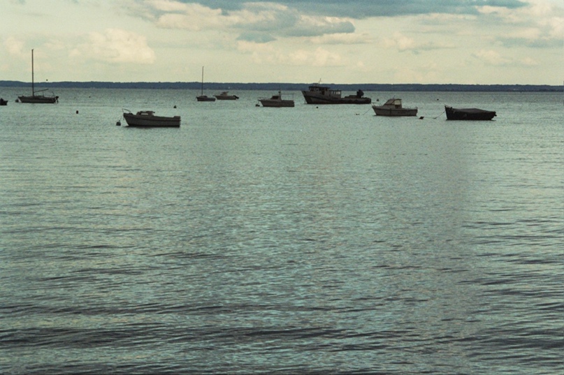 Екатерина Смирнова trifle | Москва