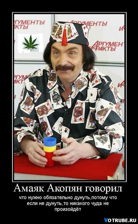 Алёна Шишова | Ярославль