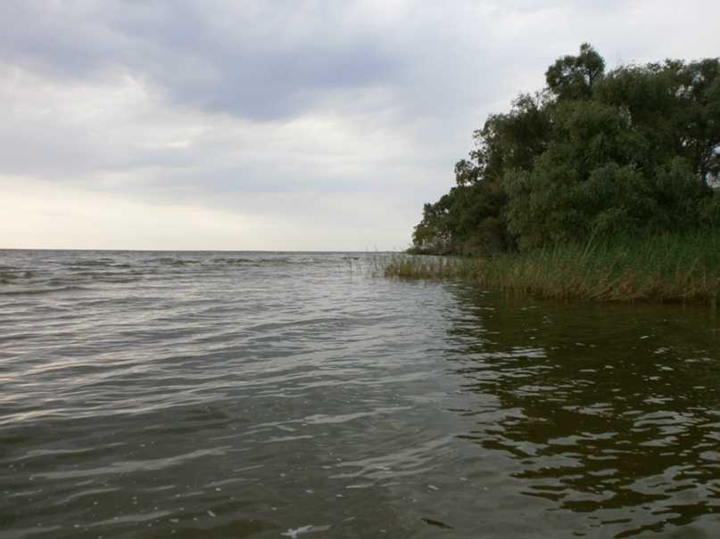 Дмитрий Калашников | Знаменка