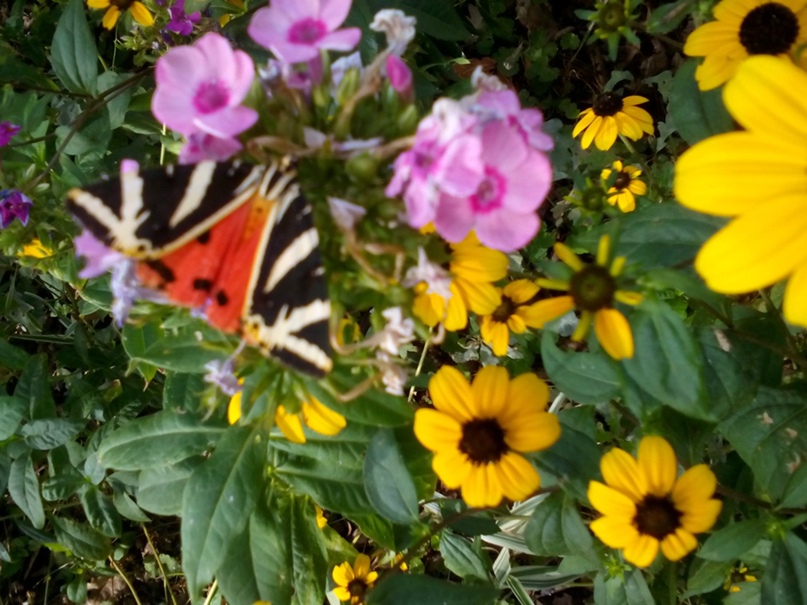 Настя Федосеева | Москва