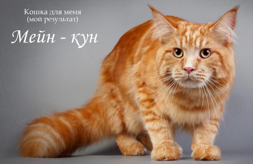 Ксения Удалова | Москва