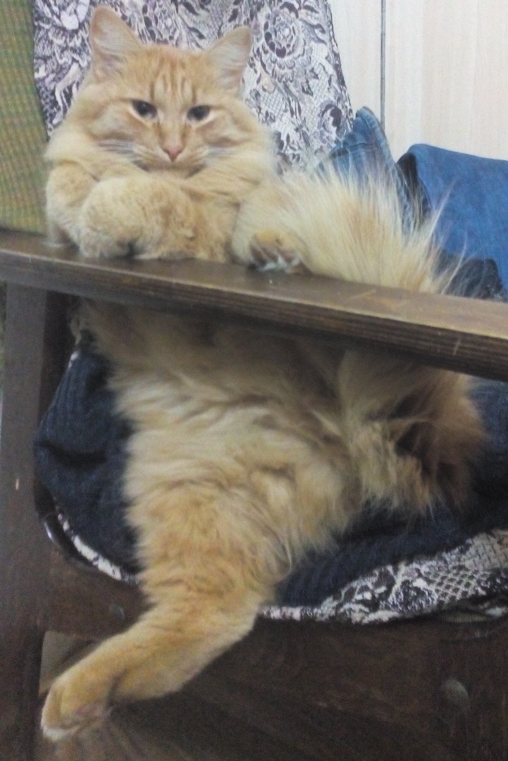 Галя Федорова | Аджером