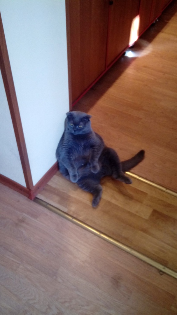 Алексей Чаплин | Киев