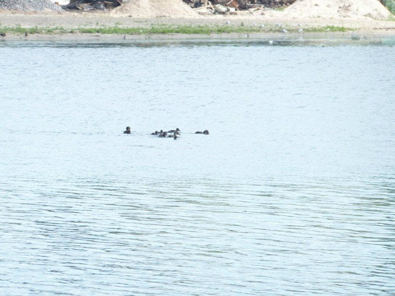 Анастасия Градусова | Ярославль