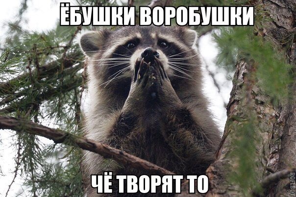 Михаил Пупкин | Магнитогорск