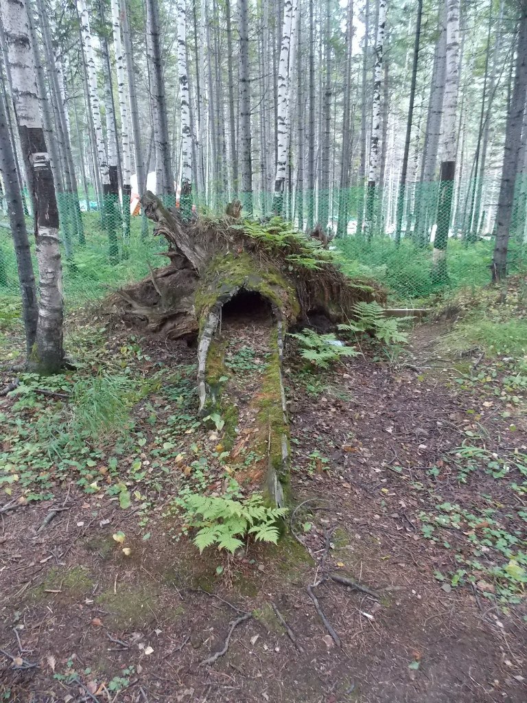 Алексей Плотников |