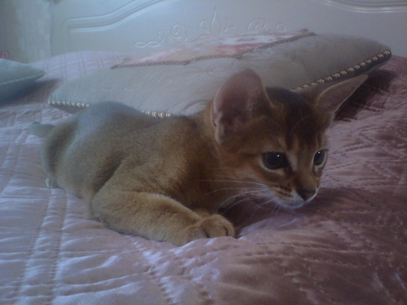 Наталия Родина Владимировна | Санкт-Петербург