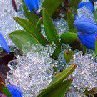 Яна Киселёва | Рыбинск