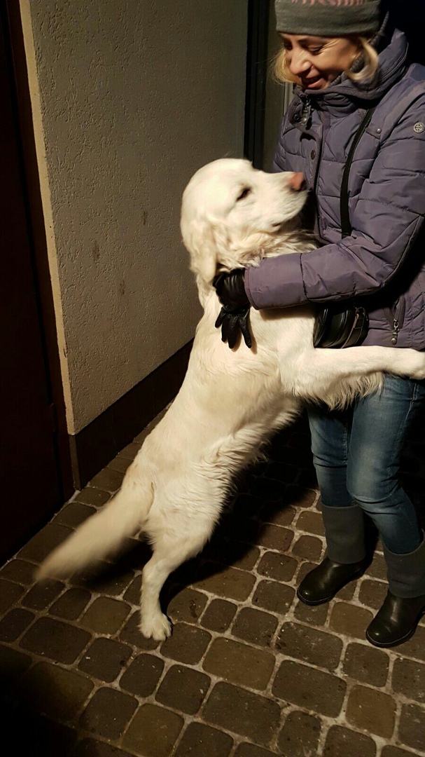 Александр Матвийчук | Новоград-Волынский