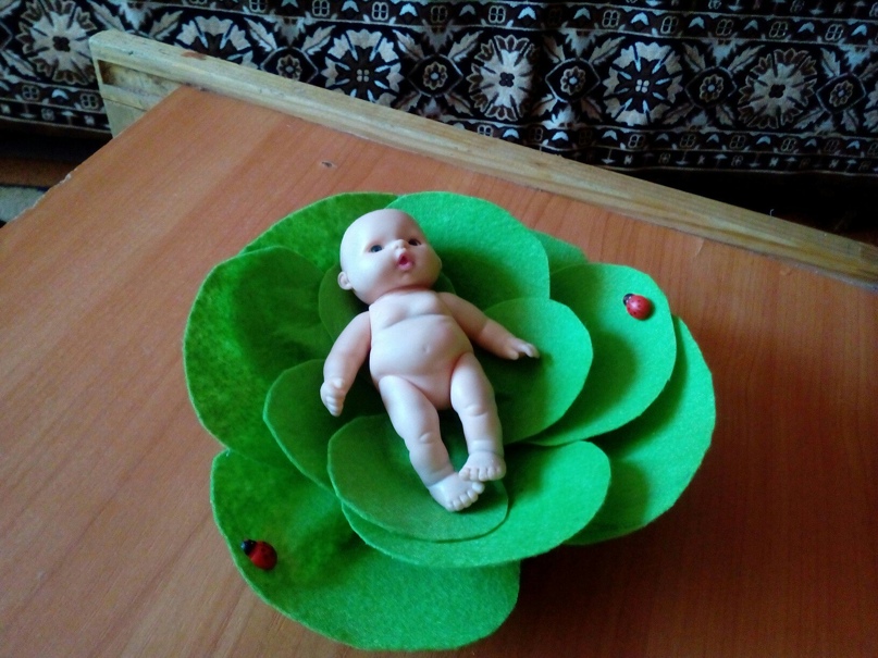 Юлия Красникова | Кировск