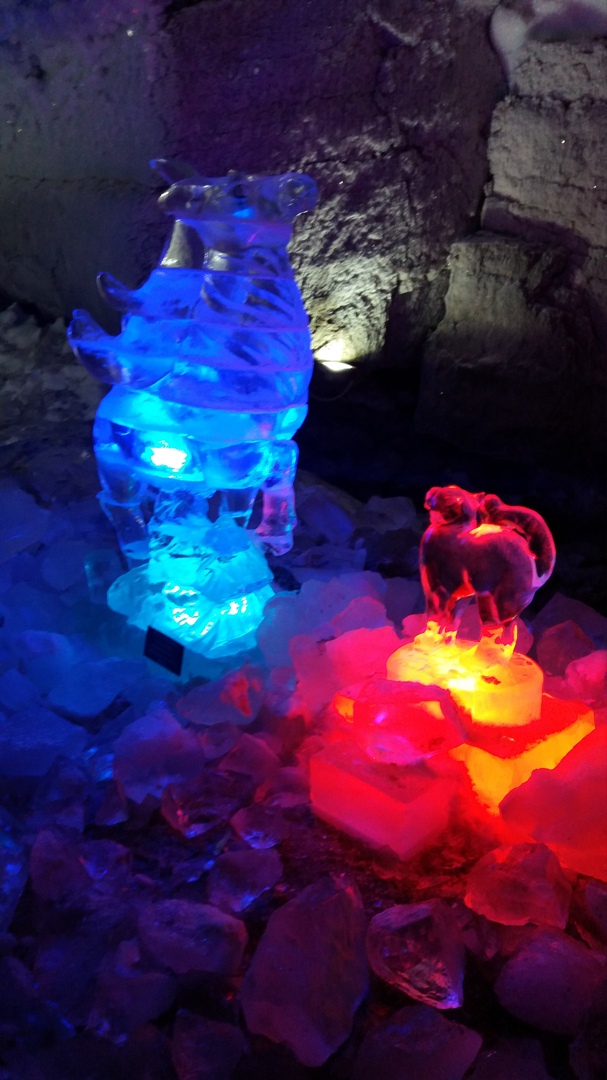 Александр Полянский | Минск