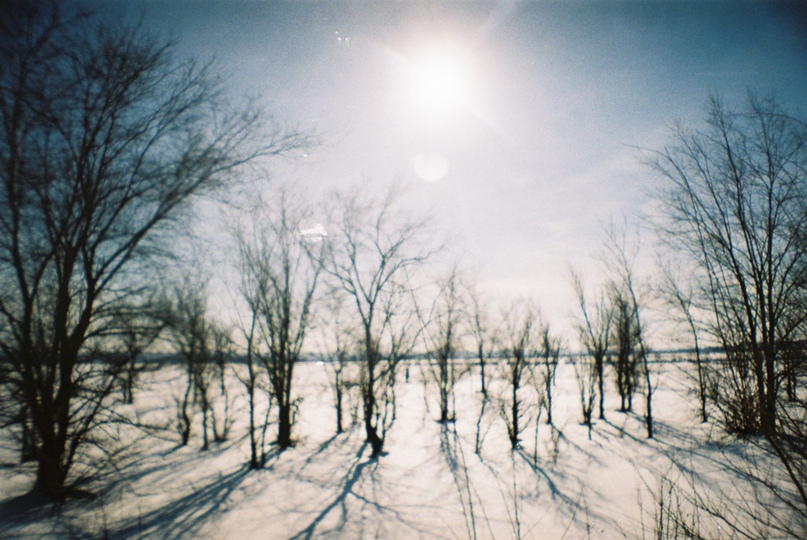 Виктория Агапова | Тамбов