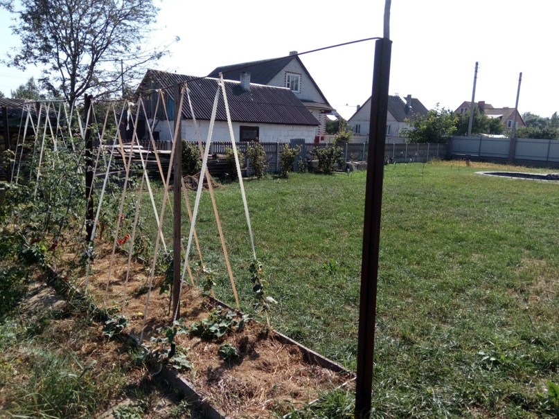 Катя Мацкевич | Пинск