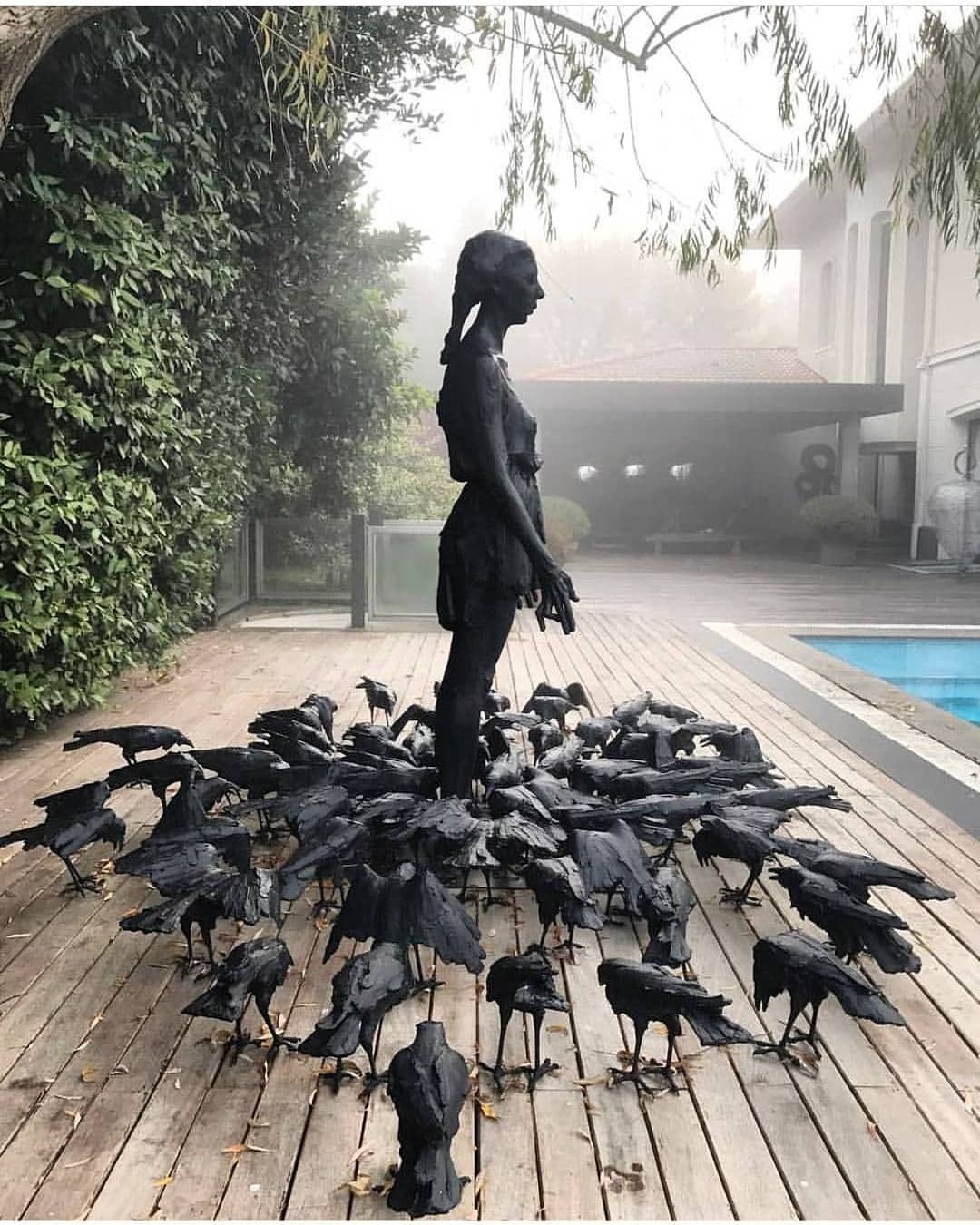 Ворона турция Ворона турция