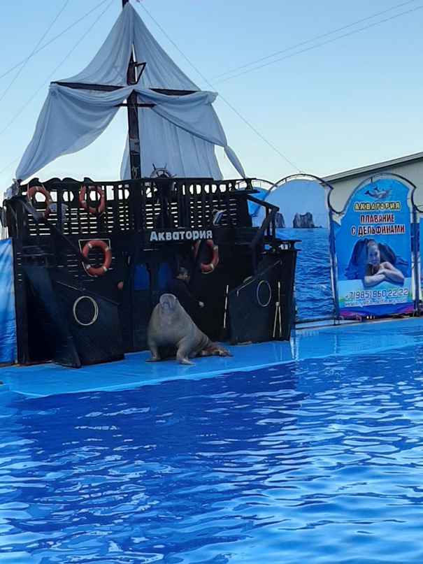 Вика Петренко | Горловка