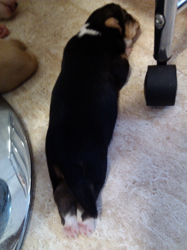 Аня Кабанова | Barcelona