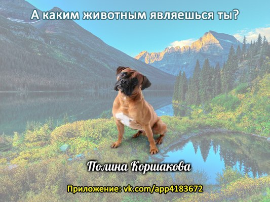 Полина Коршакова | Озерный