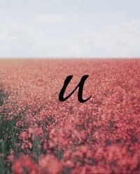 Виктория Погорелова | Санкт-Петербург