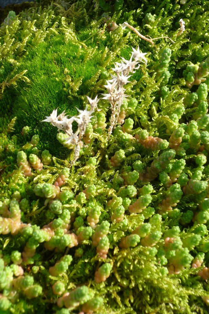 Алексей Черкашин | Москва