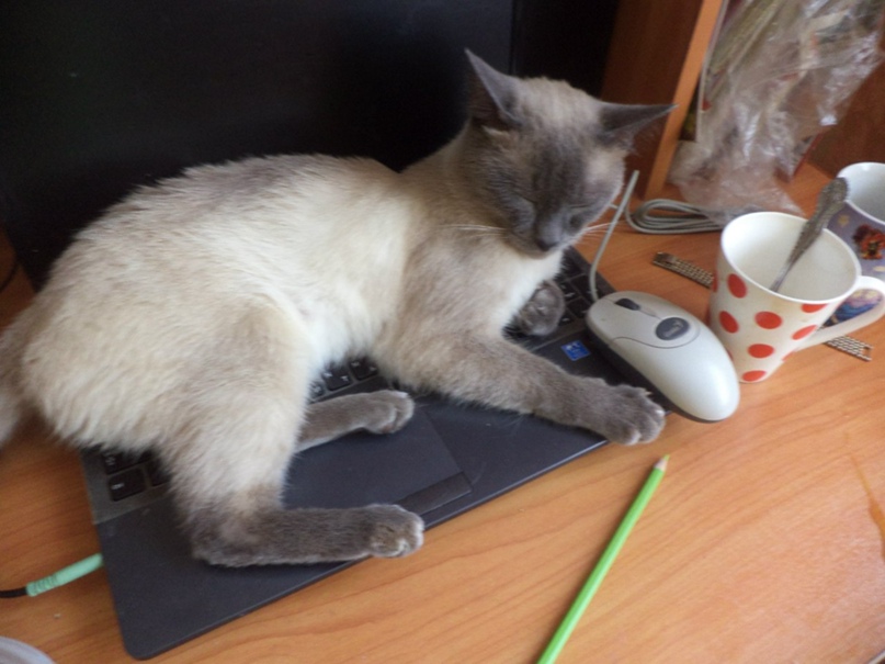 Наталья Зайцева | Пикалево