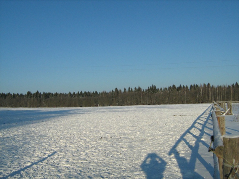 Евгения Лебедева | Москва