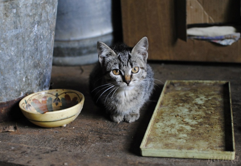 Рената Колыбина | Санкт-Петербург