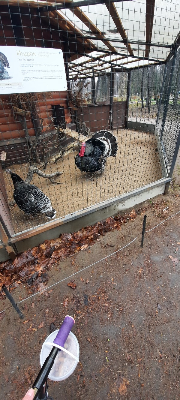 Екатерина Иноземцева | Волгоград