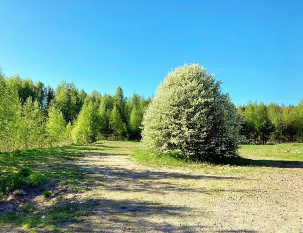 Погода шепчет.....