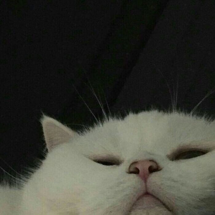 Лена Никитина | Санкт-Петербург