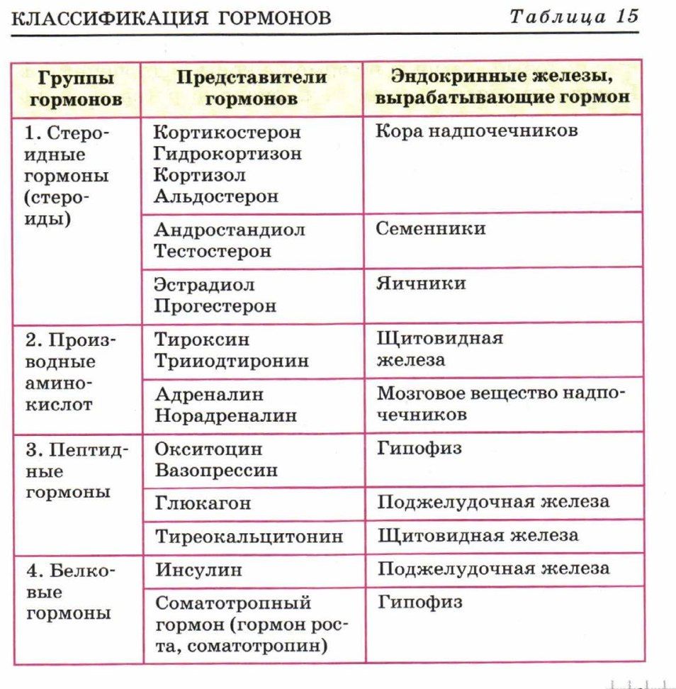 Какие железы вырабатывают тироксин. Железы внутренней секреции функции в организме человека. Классификация гормонов биохимия. Гормоны человека и их функции таблица. Функции желез внутренней секреции таблица.