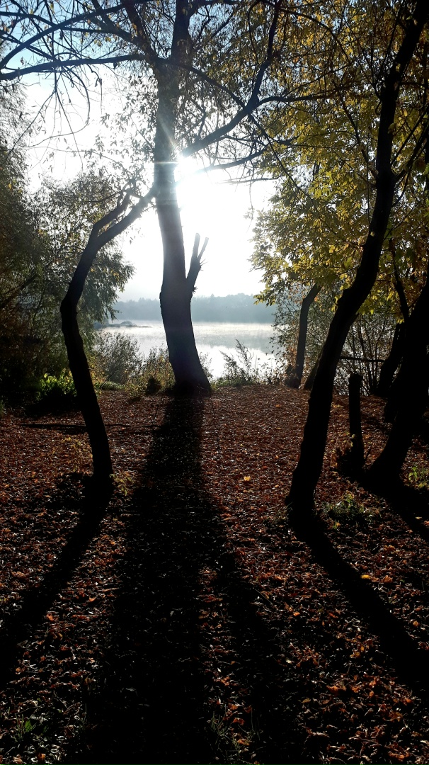 Дмитрий Хрусталев | Москва