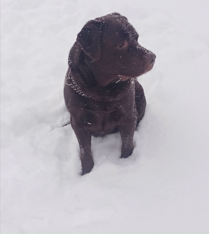 Маришка Филиппова | Белорецк