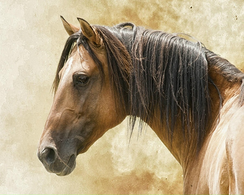 Алла Букина | Санкт-Петербург