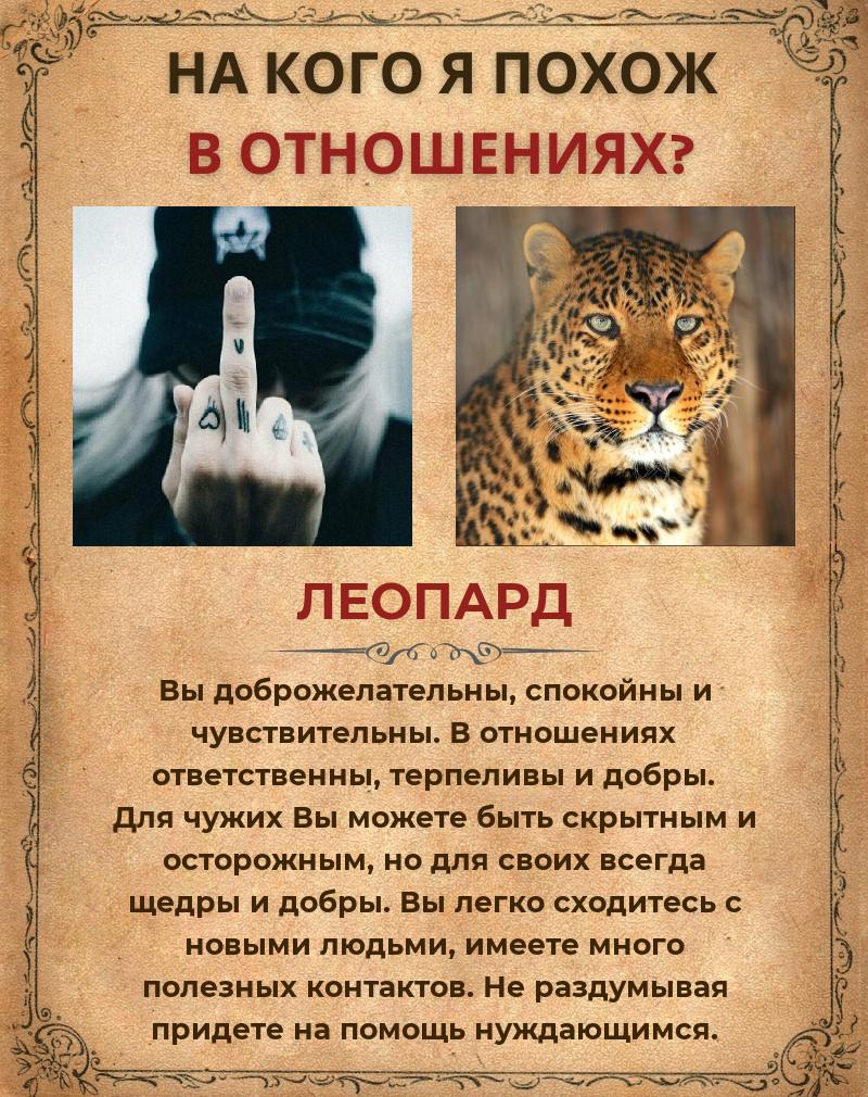 Андрей Александров | Краснодар