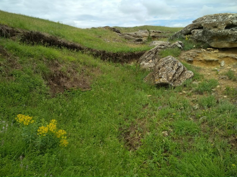 Дмитрий Ковалевский | Санкт-Петербург