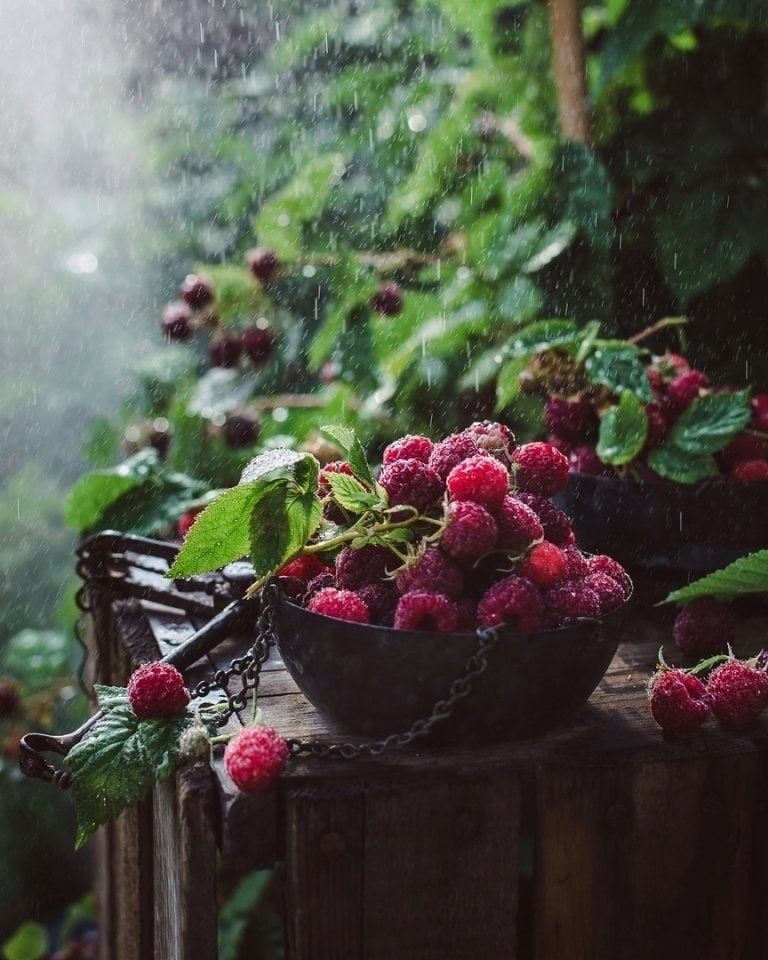 Виктория Белоконь | Москва