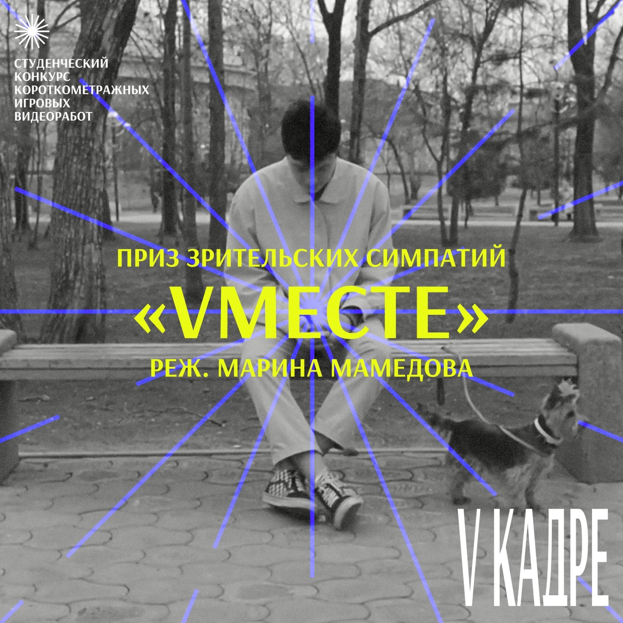 Дипломы и призы для участников и победителей конкурса «V Кадр»