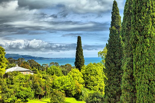 Я вижу в Сочи только море, солнце и южные культуры, Сентябрь 2014, отзыв от тури