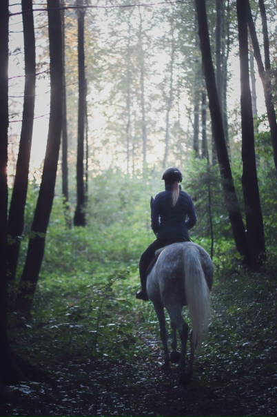 Алина рим Алина рим