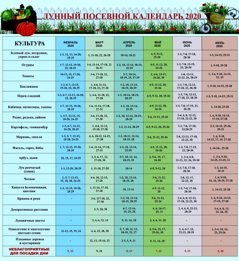 Посадки в декабре 2023 - 31 фото из 48