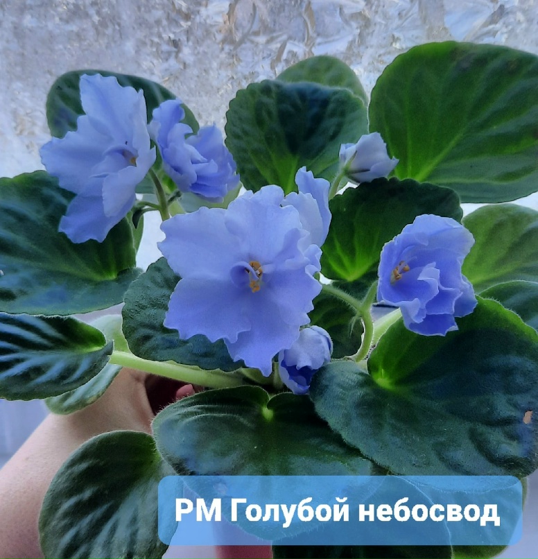 Катерина Соколова | Москва
