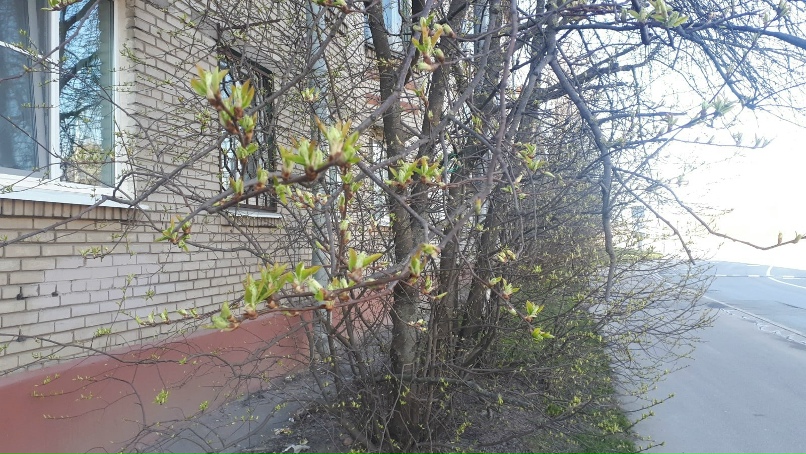 Екатерина Гордина | Санкт-Петербург