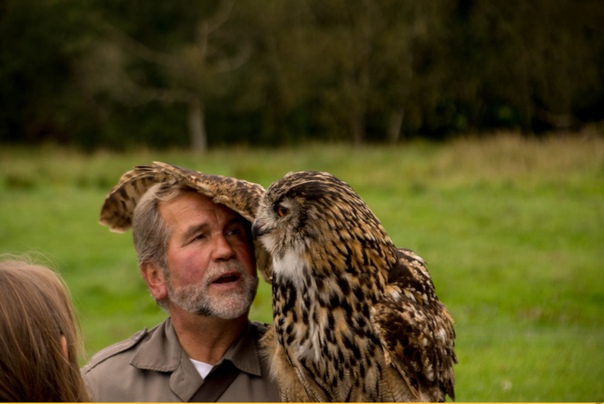 Человек изучающий птиц. Галапагосская гигантская черепаха. Работник зоопарка. Человек изучающий мир животных. Зоолог.