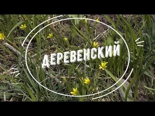 ремонт бани своими руками