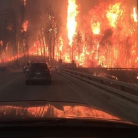 Анастасия Ратникова |