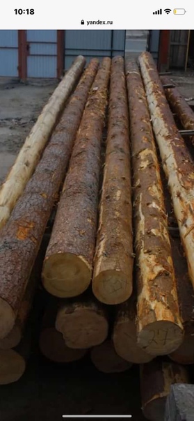 Дубовое бревно. Оцилиндрованное бревно лиственница. Бревно 2 5 метра. Бревно 2 5 метра. Лес кругляк подтоварник.