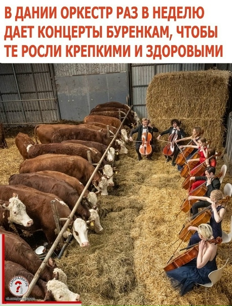 Еще и одеваются максимально нарядно, вообще уже с ума посходили там