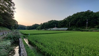 4K Japan Walk - Rural Yokohama Jikecho to Ichigao - Slow TV