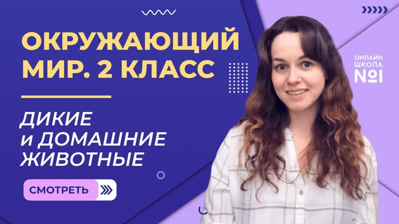 Видеоурок 14. Дикие и домашние животные. Окружающий мир 2